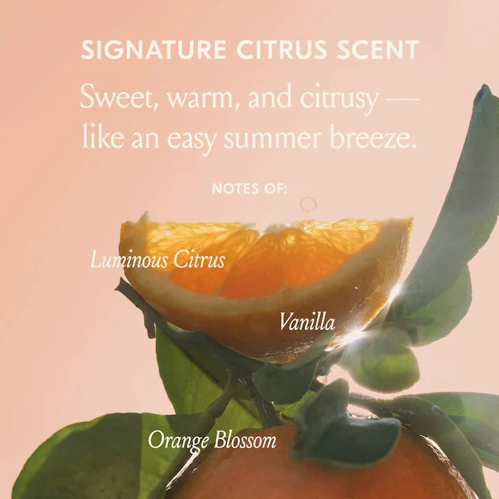 Freshly Picked Styling Trio - Dae