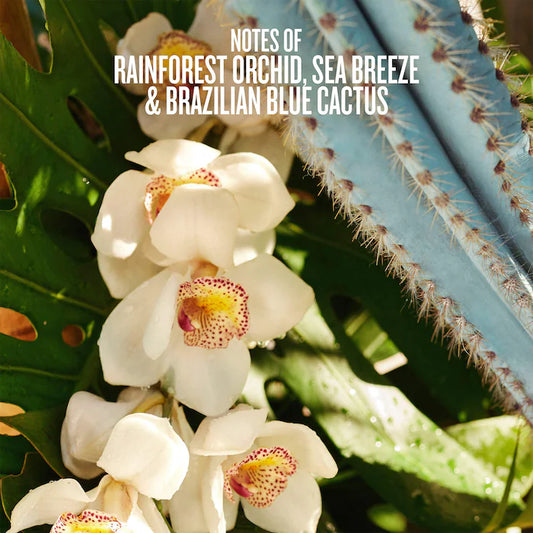 Refresco Paraíso Hair & Body Perfume Mist - Sol de Janeiro